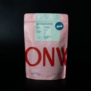 Onward - Bali Karana Collective - Traditional Natural