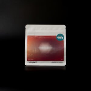 Hayati - Kenya Kiawamururu Blackcurrant - Full Wash